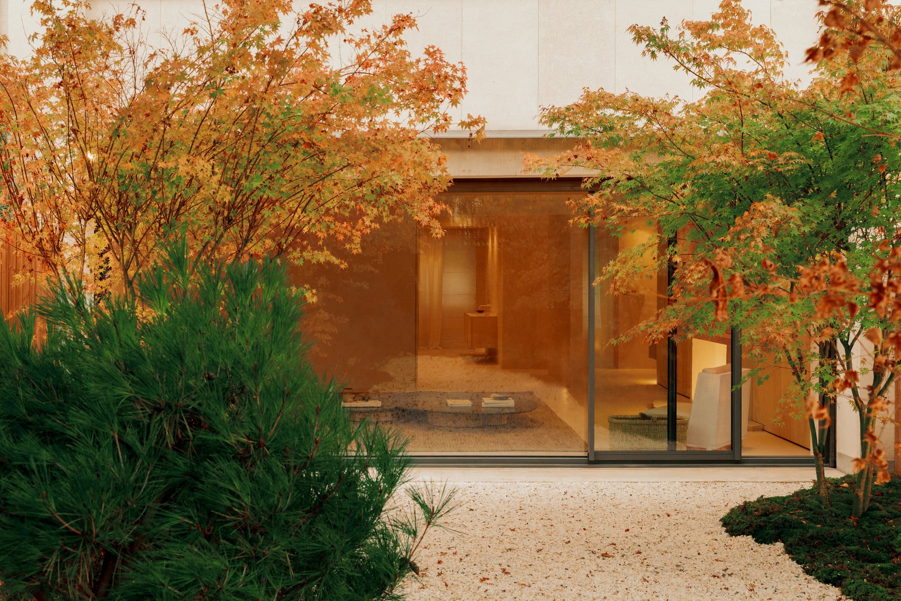L’Imparfait by Guillaume Alan — garden of maples around the house, apartment in Paris