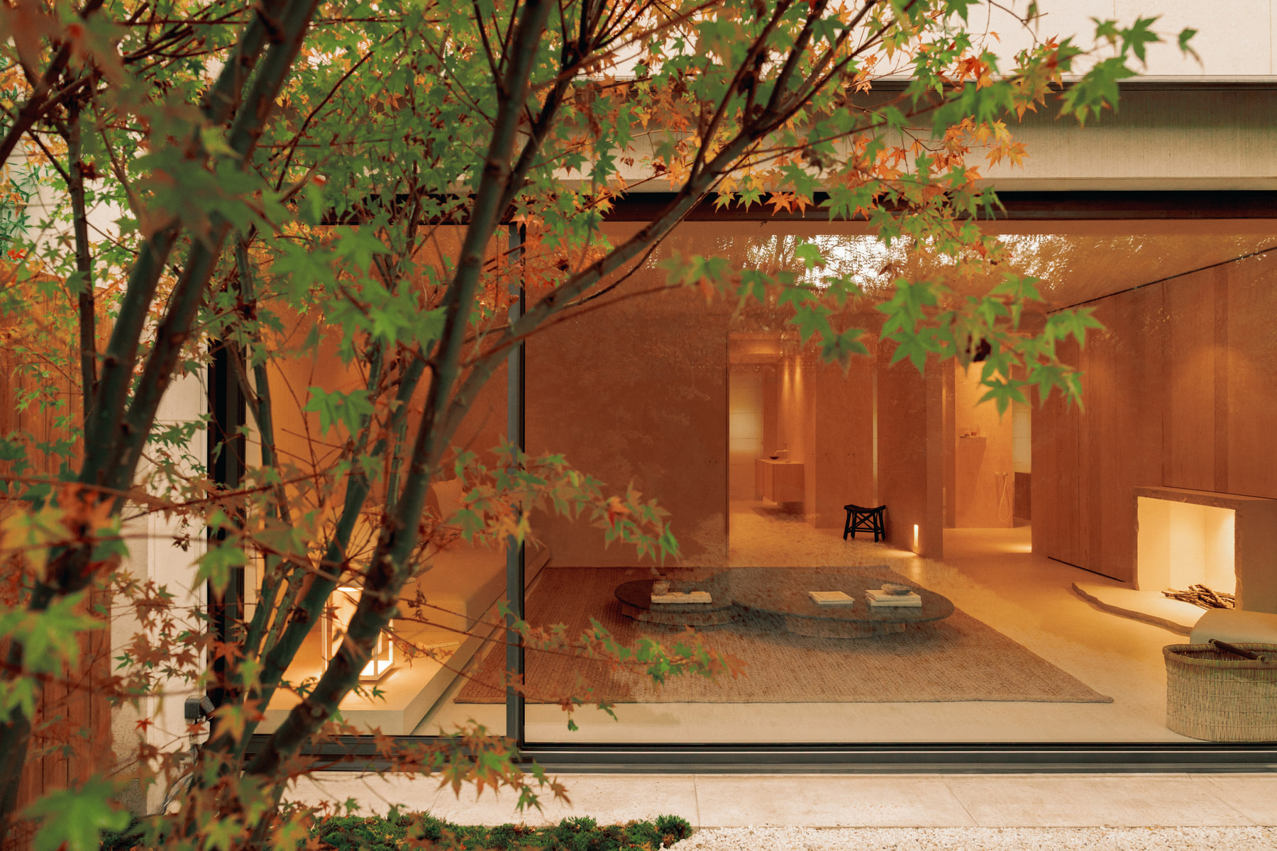 L’Imparfait by Guillaume Alan — garden and house through maple branches, apartment in Paris