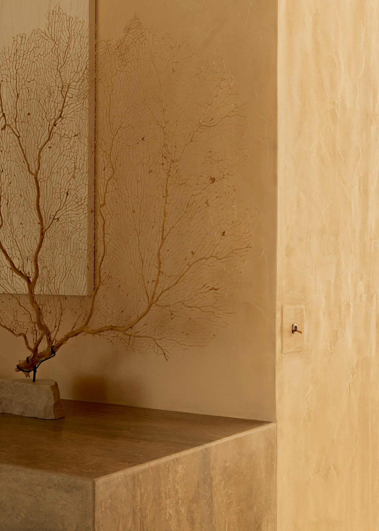 L’Imparfait by Guillaume Alan — coral branch in a travertine niche, apartment in Paris